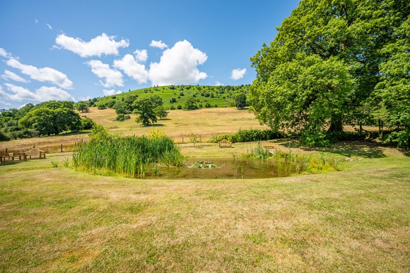 Garden- click for photo gallery